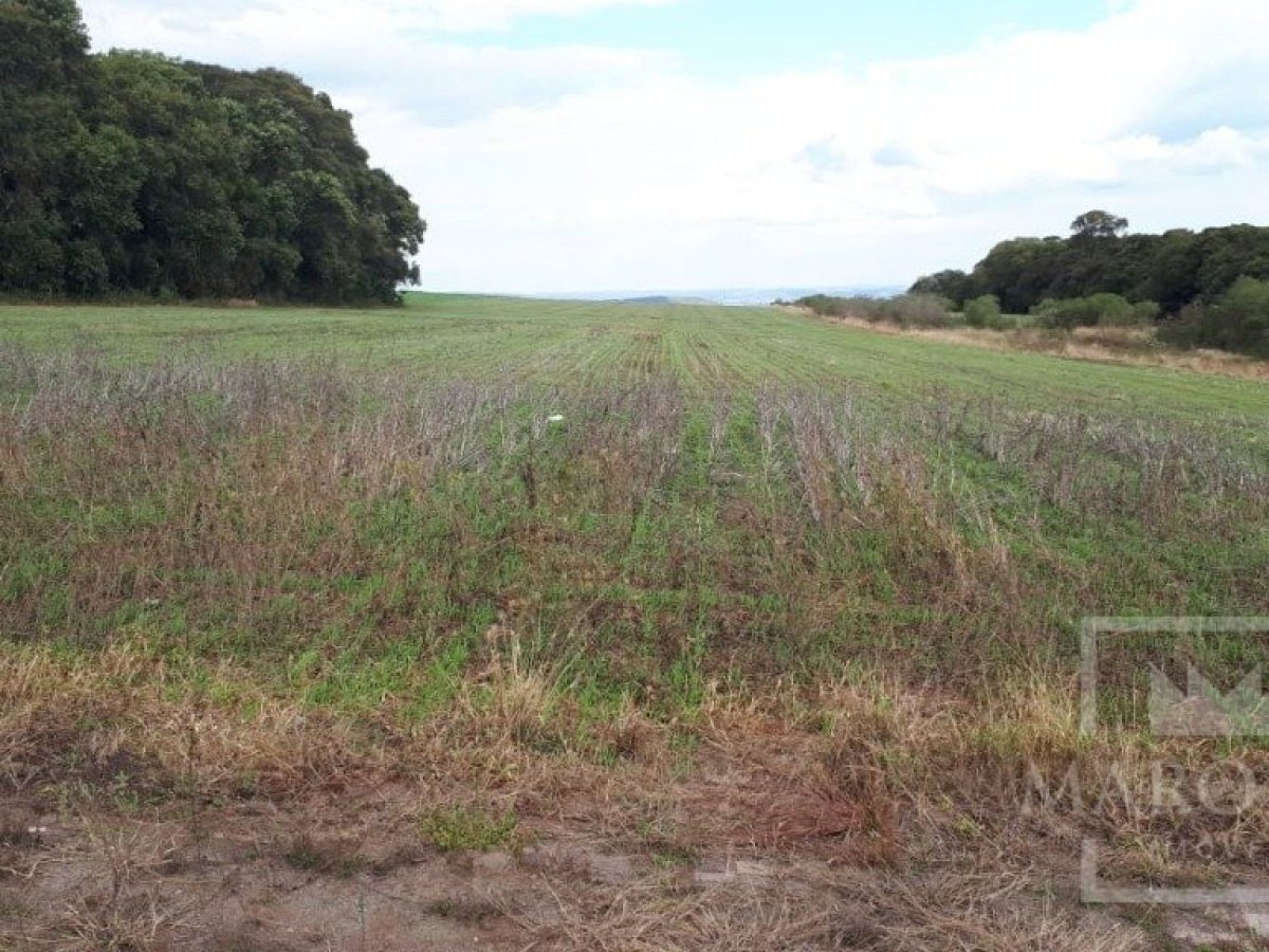Área com 17500m², Nao suíte, no bairro Frei Adelar em Marau