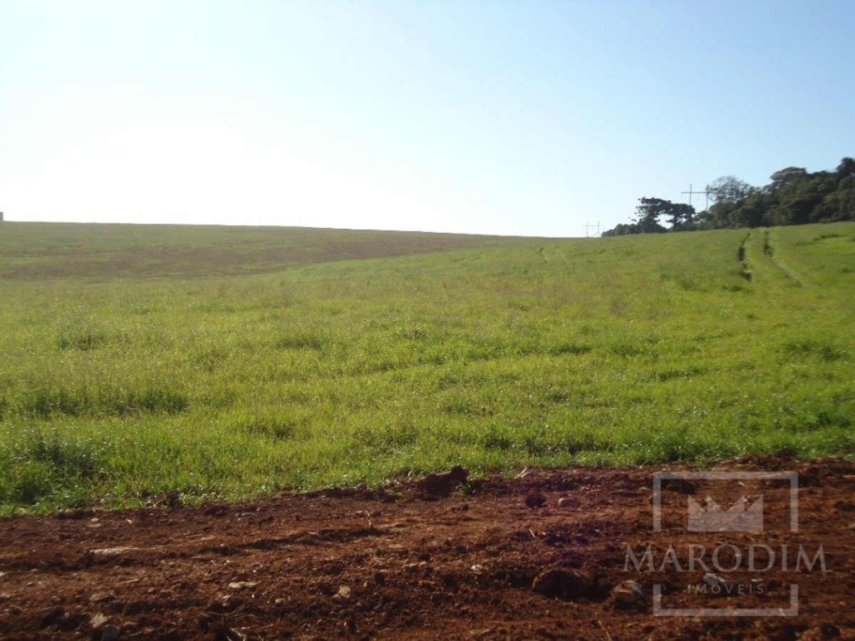 Terreno com 26933000m², Nao suíte, no bairro Borges de Medeiros em Marau