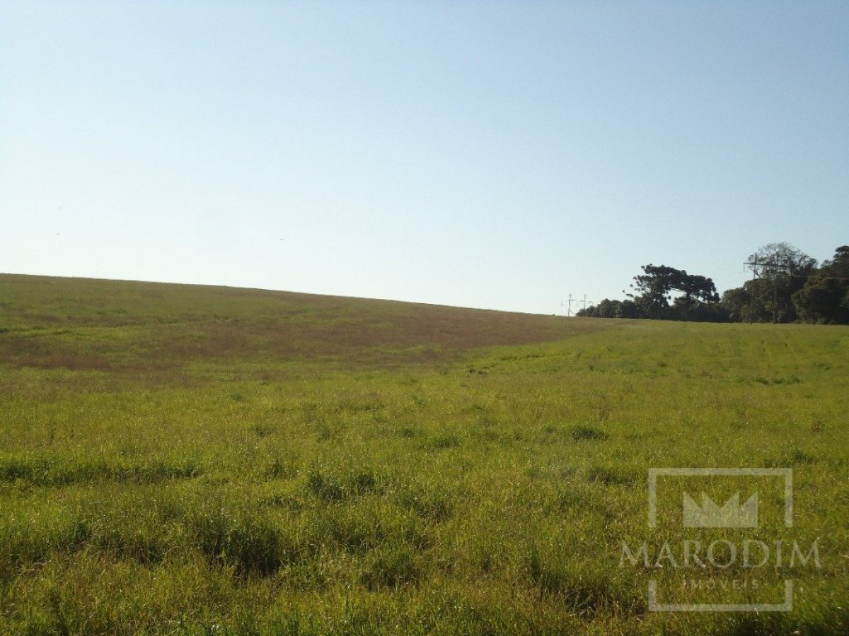 Terreno com 26933000m², Nao suíte, no bairro Borges de Medeiros em Marau