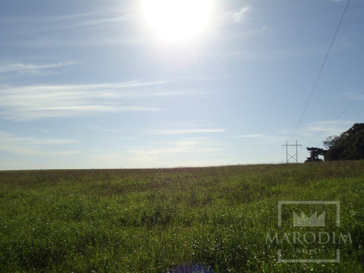 Terreno com 26933000m², Nao suíte, no bairro Borges de Medeiros em Marau