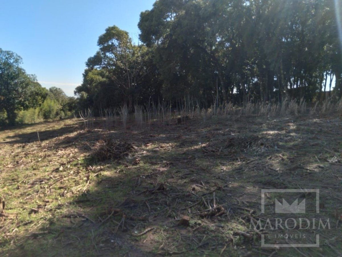 Área com 4600m², Nao suíte, no bairro Loteamento Busnello em Marau