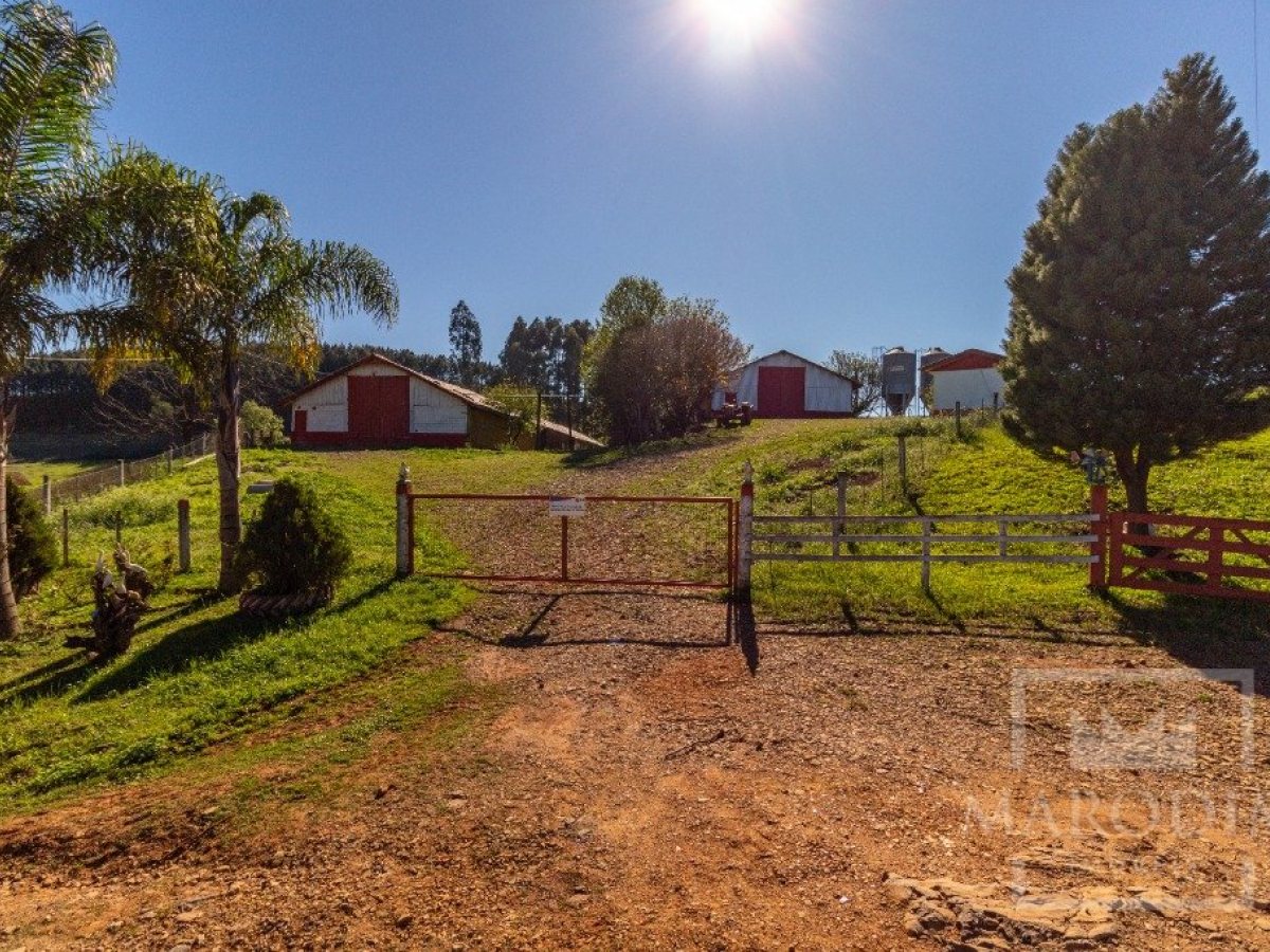 Área com 148000m², Nao suíte, no bairro Interior em Marau