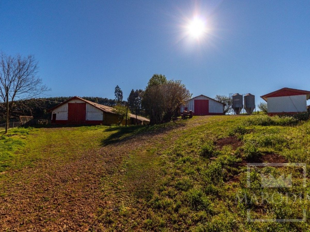 Área com 148000m², Nao suíte, no bairro Interior em Marau