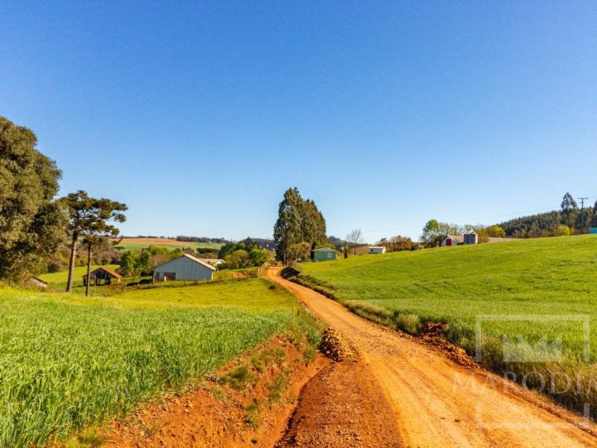 Área com 148000m², Nao suíte, no bairro Interior em Marau