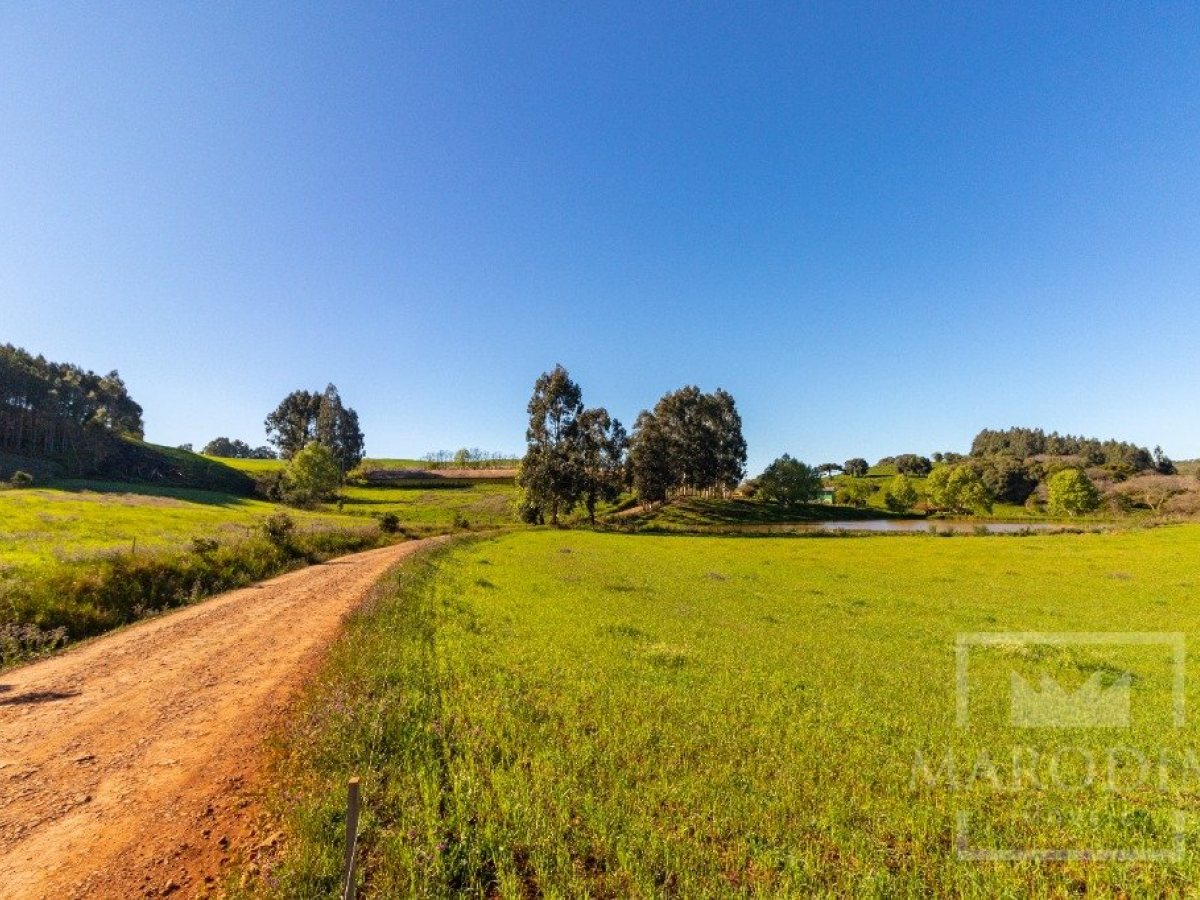 Área com 148000m², Nao suíte, no bairro Interior em Marau