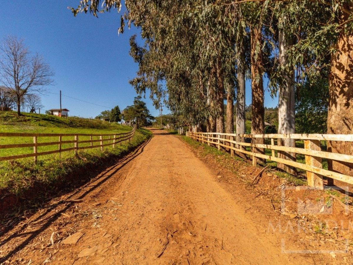 Área com 148000m², Nao suíte, no bairro Interior em Marau