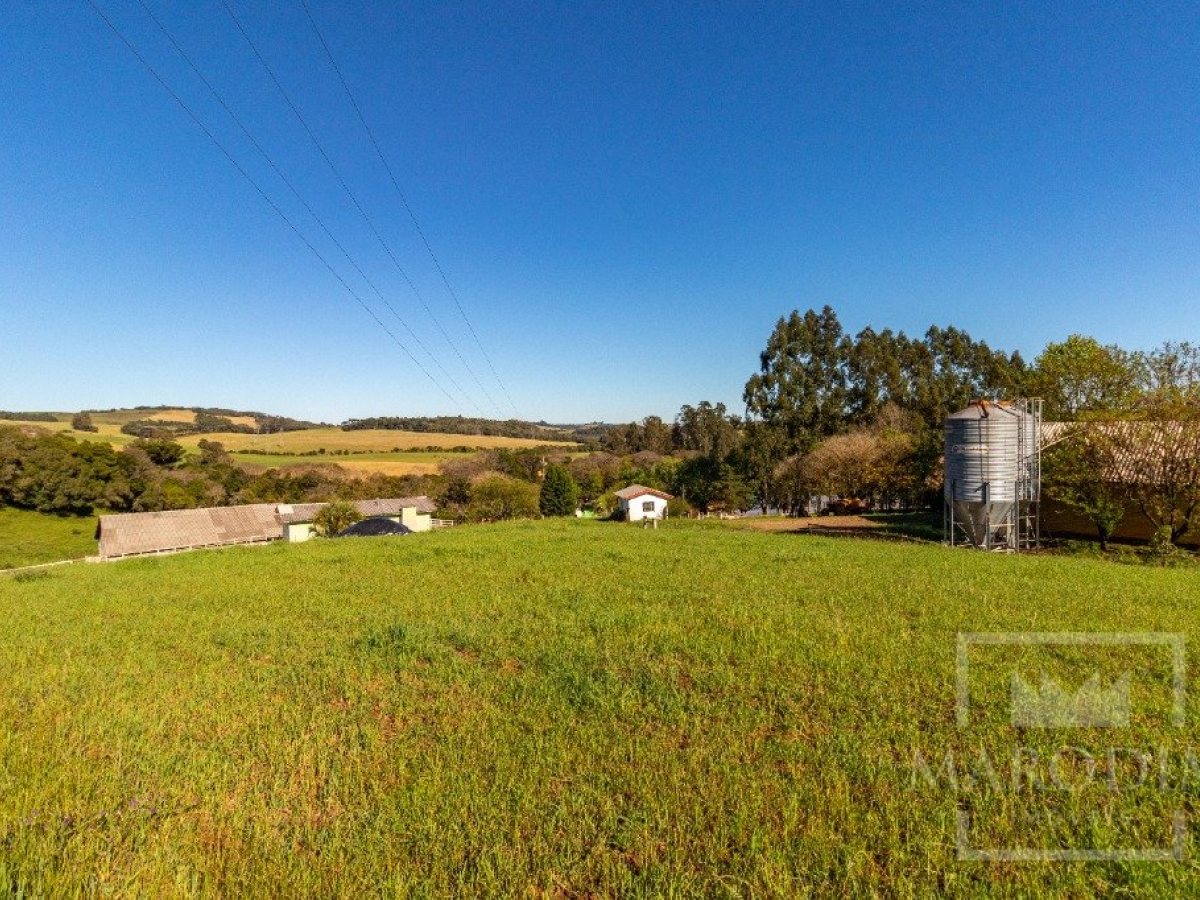 Área com 148000m², Nao suíte, no bairro Interior em Marau