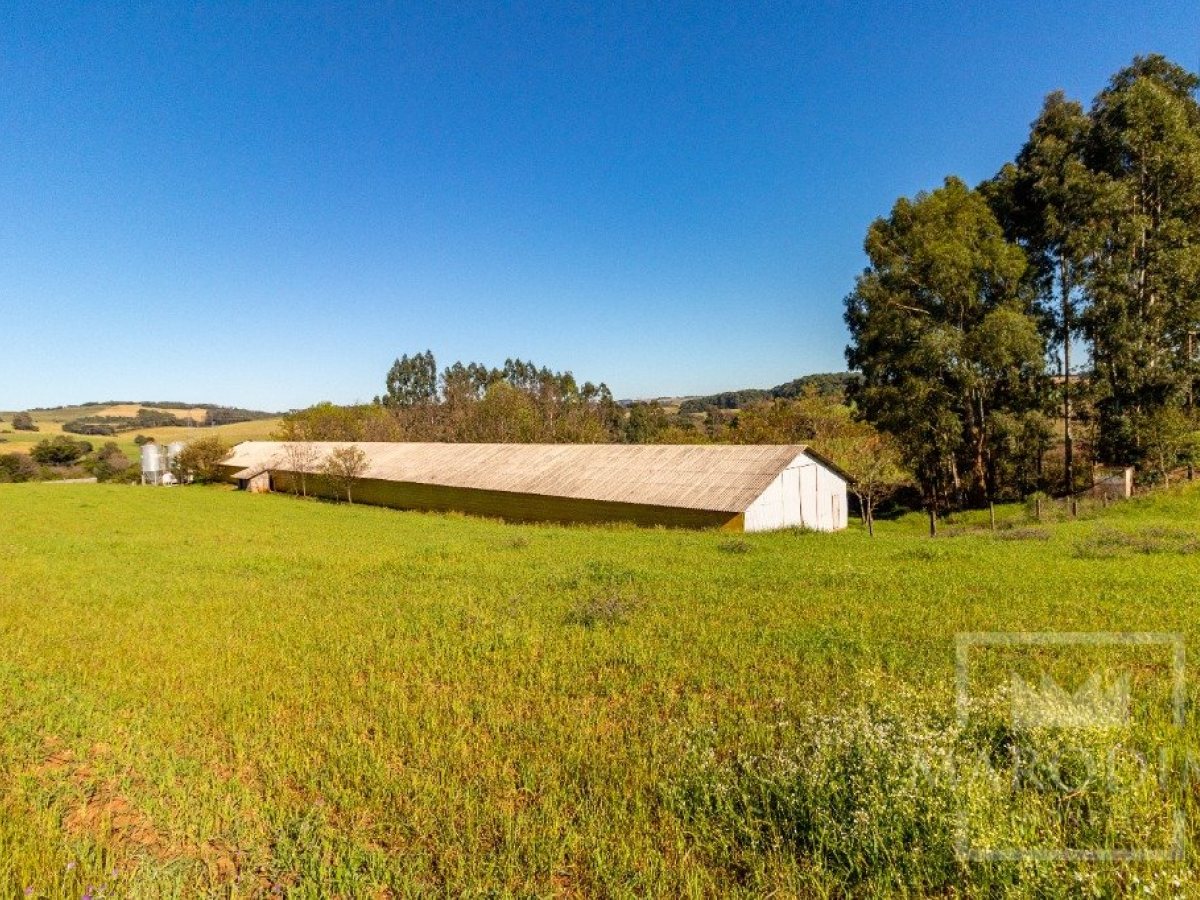 Área com 148000m², Nao suíte, no bairro Interior em Marau