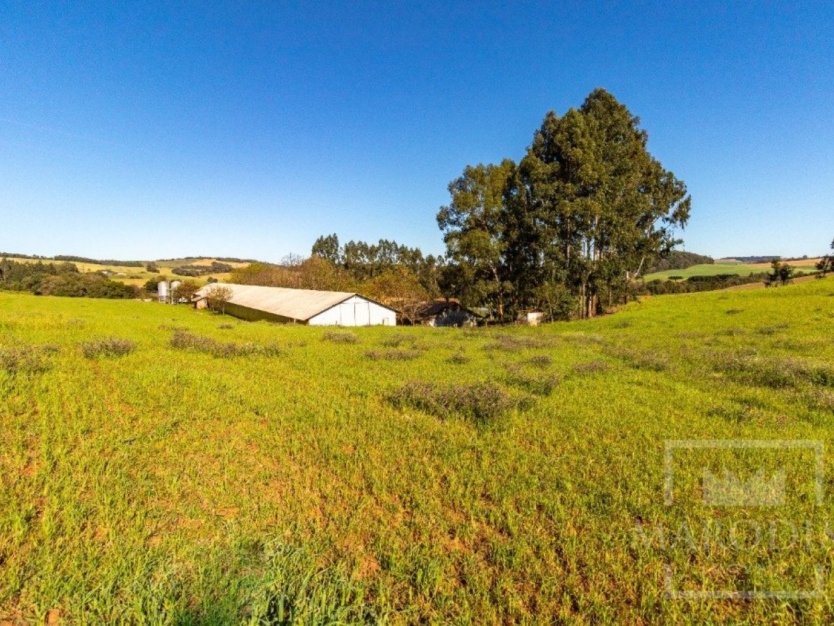 Área com 148000m², Nao suíte, no bairro Interior em Marau