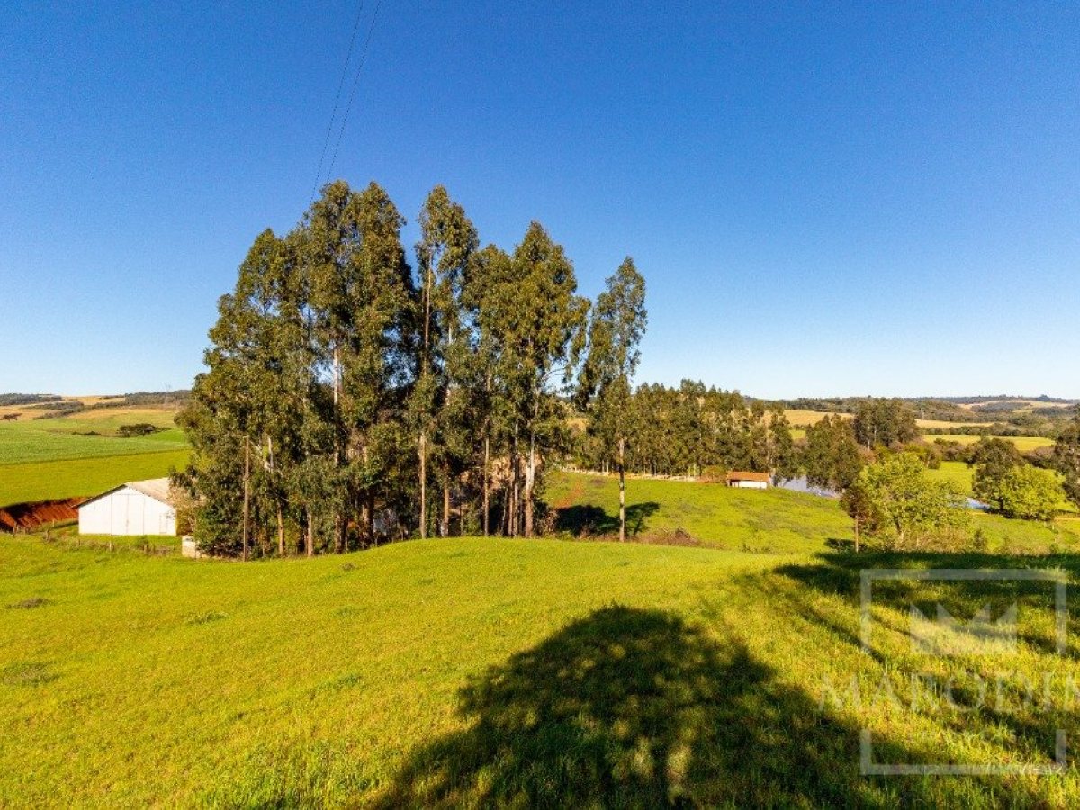 Área com 148000m², Nao suíte, no bairro Interior em Marau