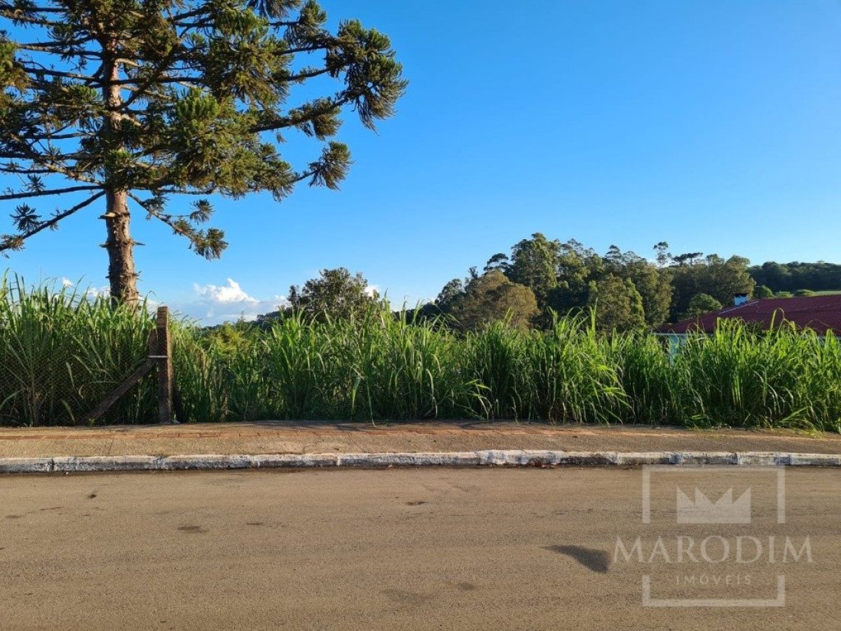 Terreno com 645m², Nao suíte, no bairro Loteamento Falquembach em Marau
