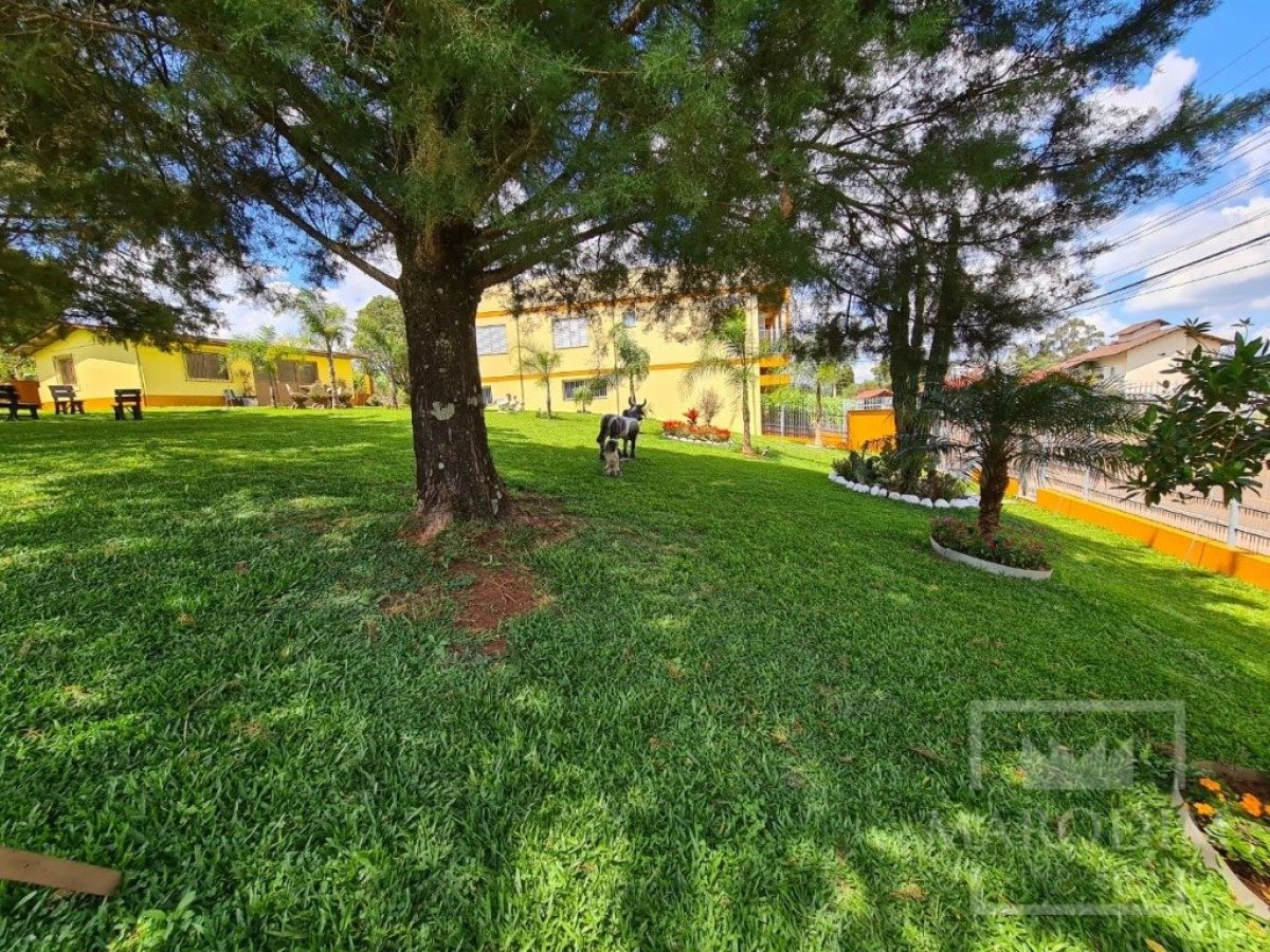 Casa com 300m², 3 dormitórios, Nao suíte, 3 vagas, no bairro Borges de Medeiros em Marau