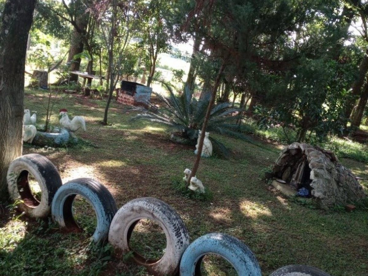 Sítio com 6050m², 3 dormitórios, Nao suíte, no bairro Interior em Marau