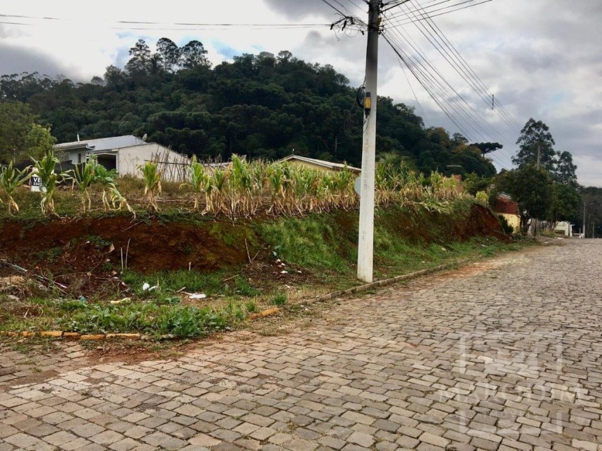 Terreno com 393m², Nao suíte, no bairro Loteamento Girardi em Marau