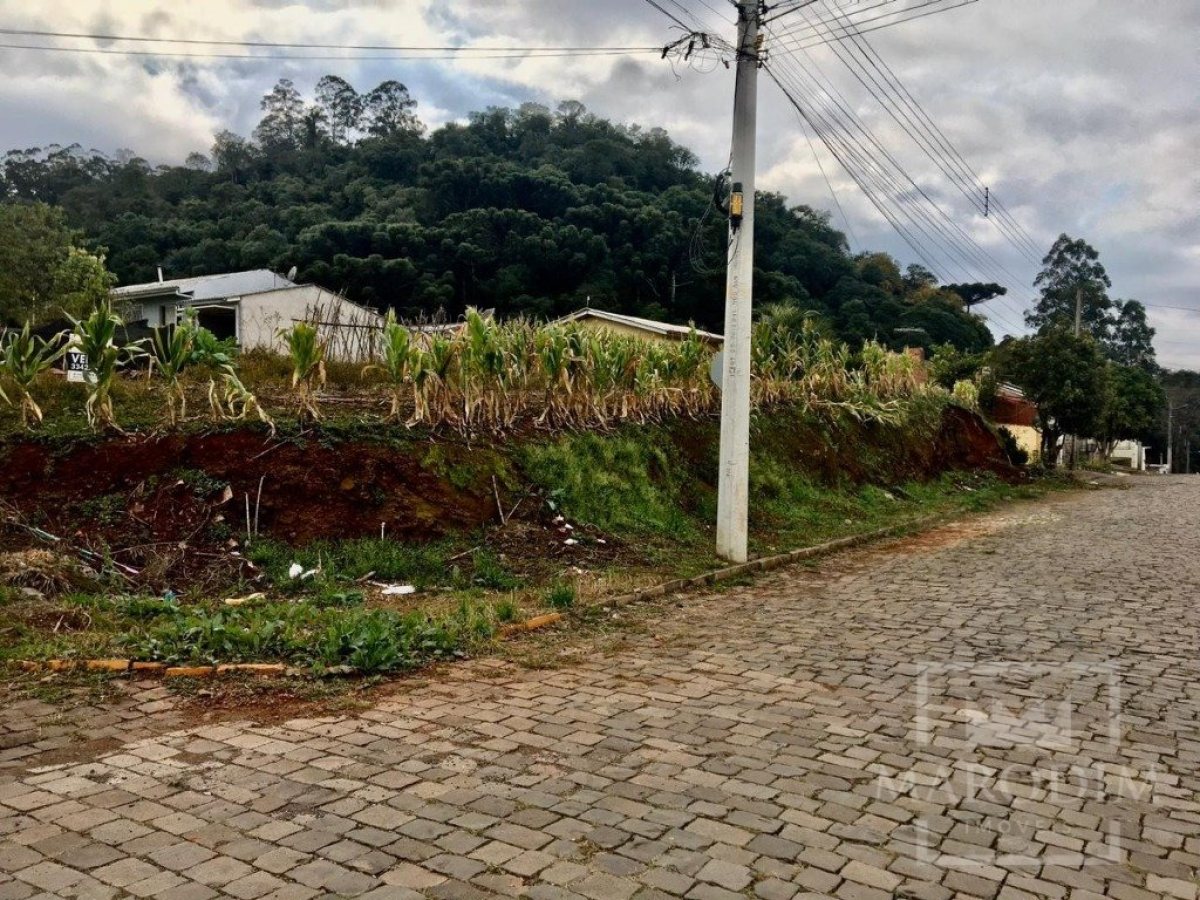 Terreno com 393m², Nao suíte, no bairro Loteamento Girardi em Marau