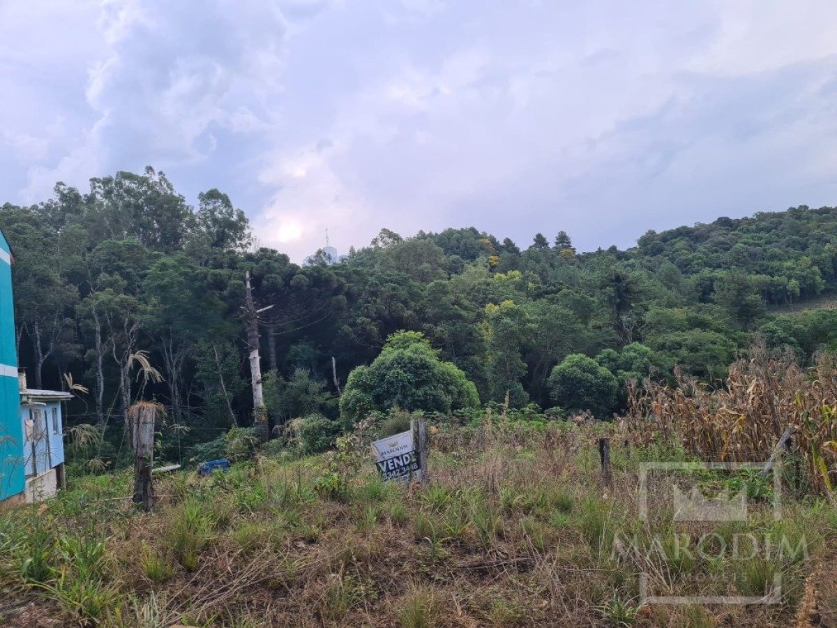 Terreno com 360m², Nao suíte, no bairro Loteamento Scortegagna em Marau