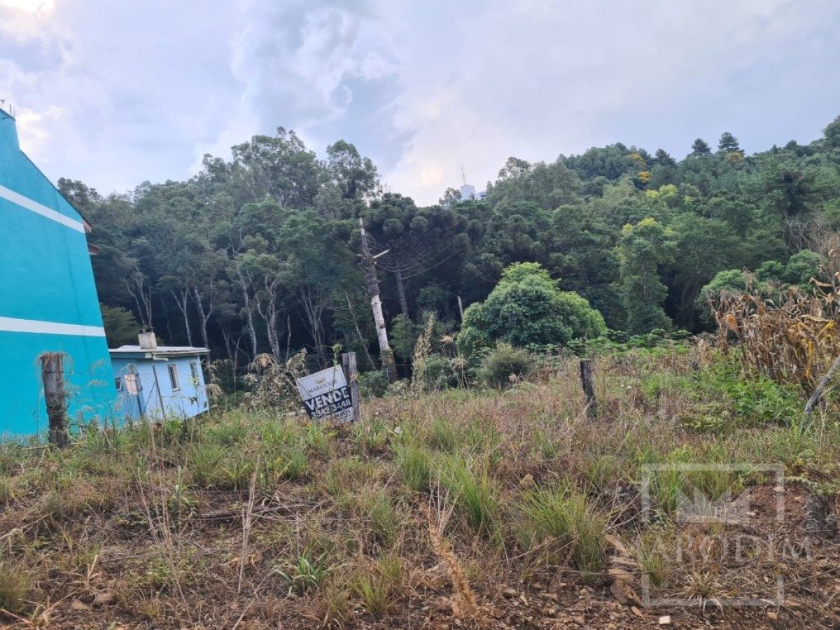 Terreno com 360m², Nao suíte, no bairro Loteamento Scortegagna em Marau