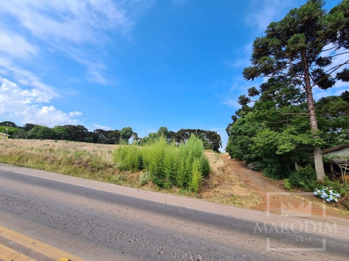 Área com 10000m², Nao suíte, no bairro Interior em Marau