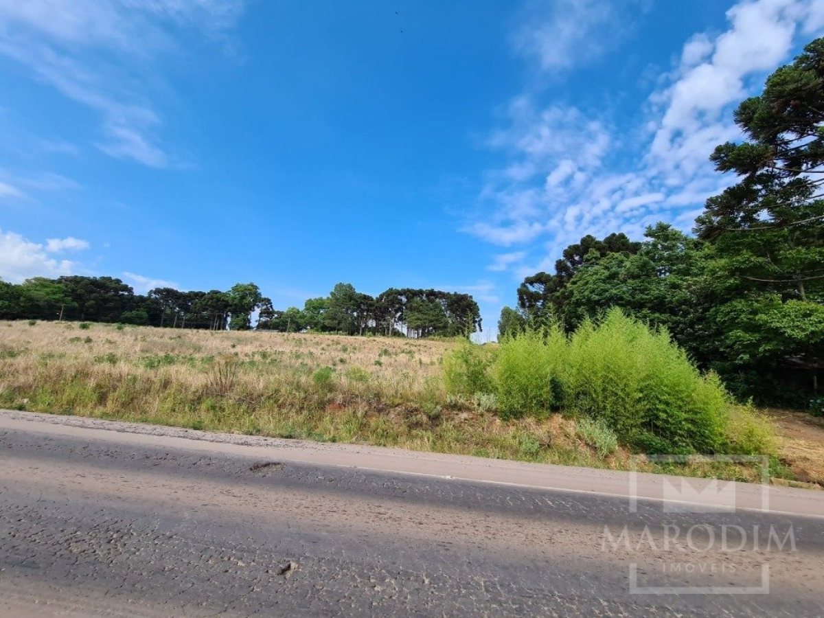 Área com 10000m², Nao suíte, no bairro Interior em Marau