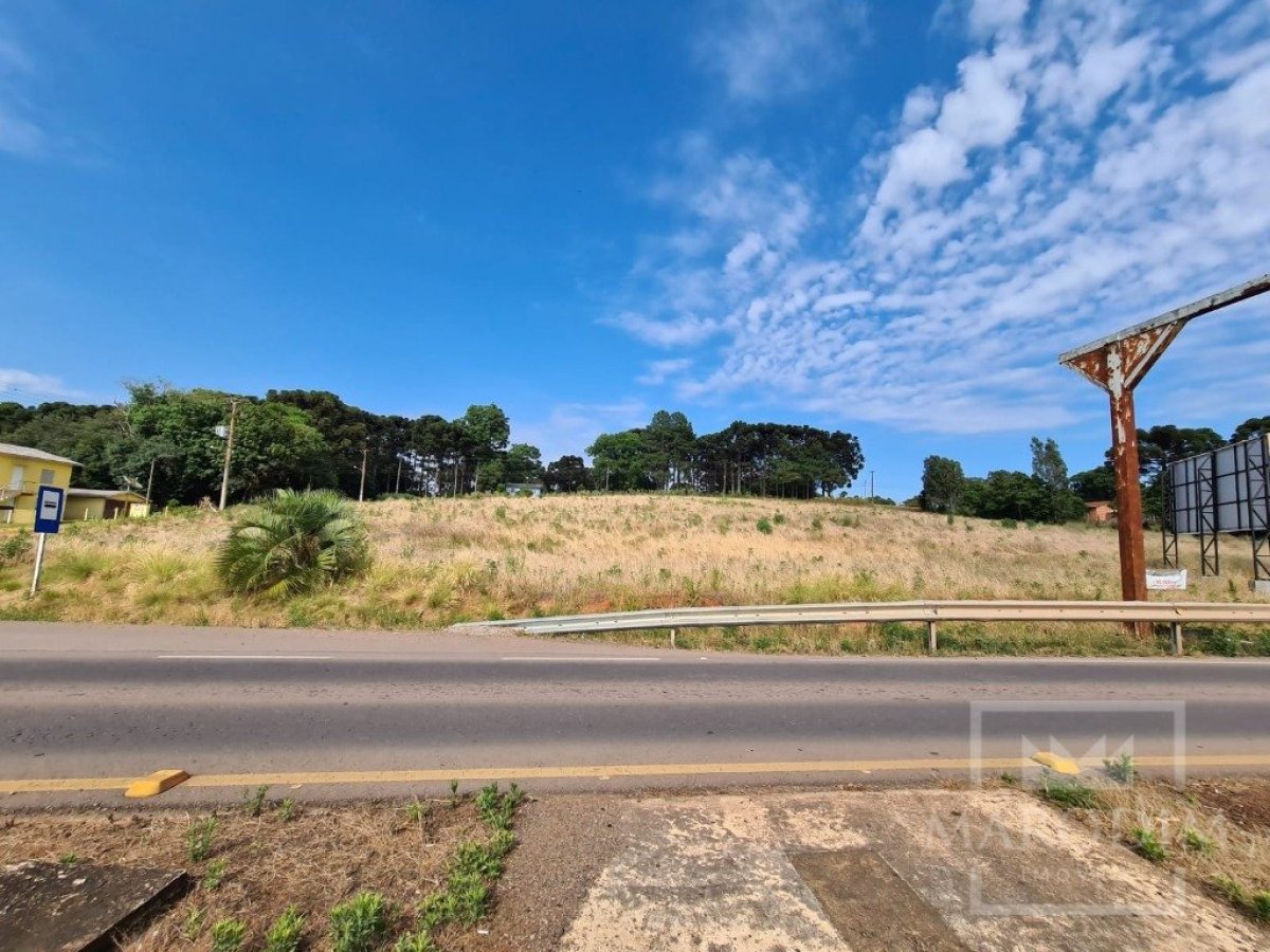 Área com 10000m², Nao suíte, no bairro Interior em Marau