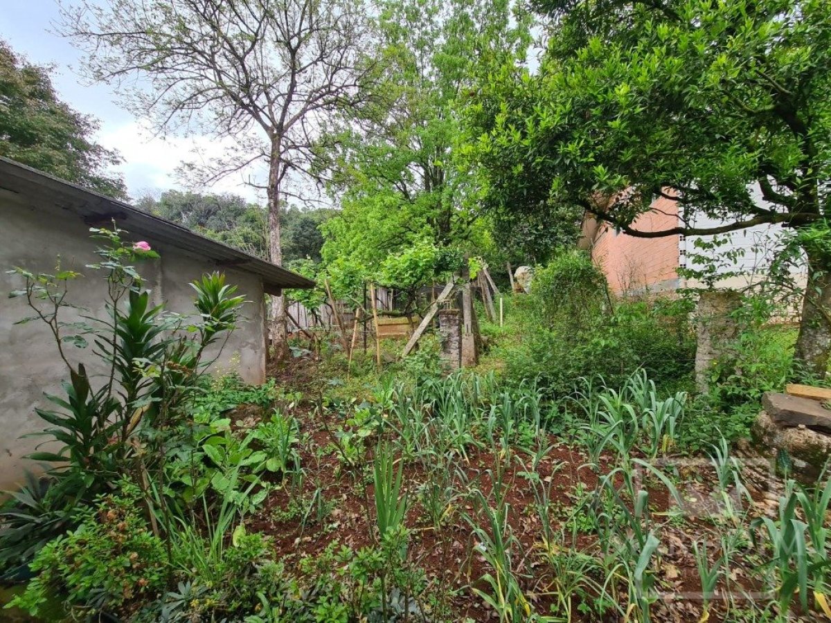 Terreno com 3358m², Nao suíte, no bairro Constante Fuga em Marau