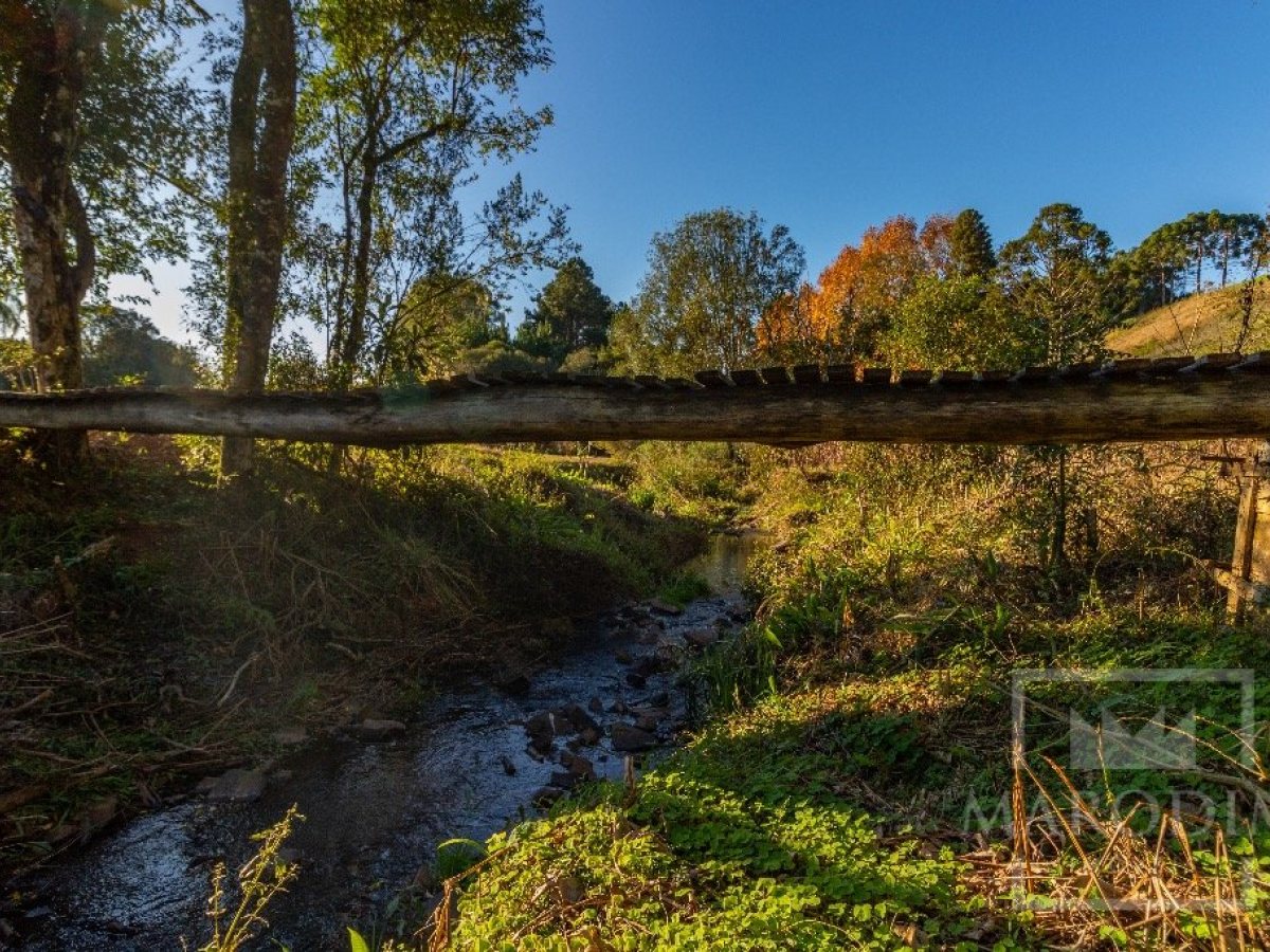Sítio com 12000m², 1 dormitório, Nao suíte, no bairro Interior em Marau