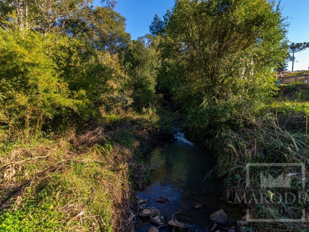 Sítio com 12000m², 1 dormitório, Nao suíte, no bairro Interior em Marau
