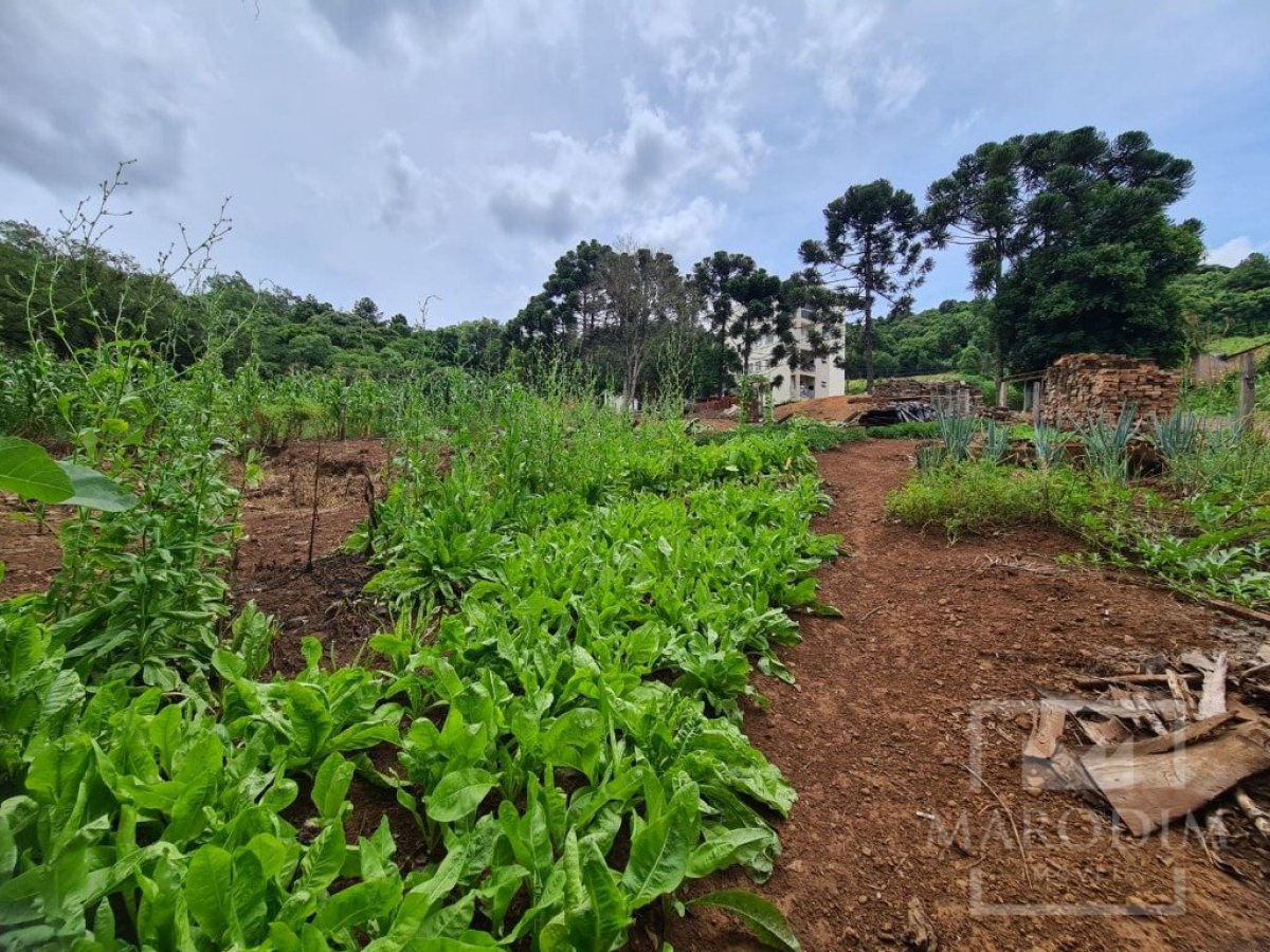 Terreno com 555m², Nao suíte, no bairro Carolo em Marau