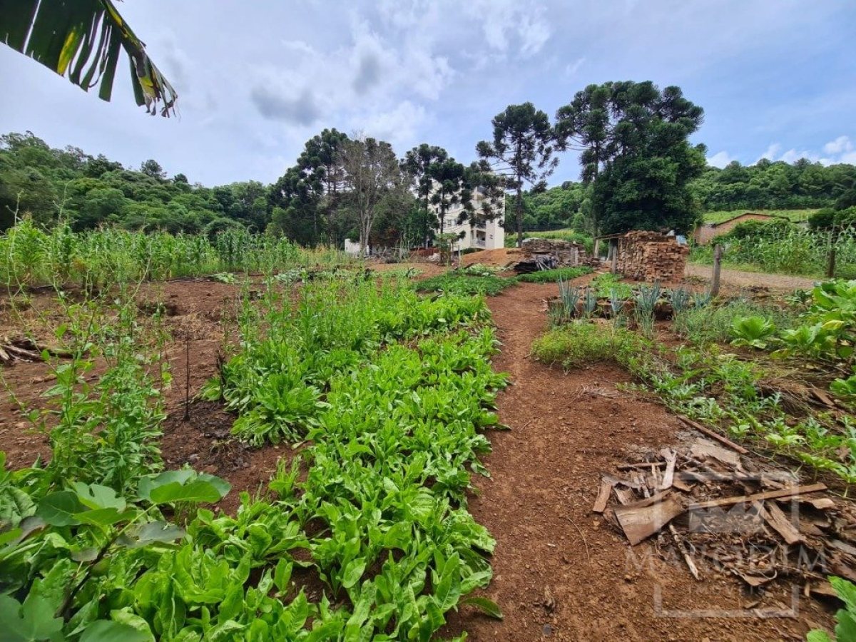 Terreno com 555m², Nao suíte, no bairro Carolo em Marau