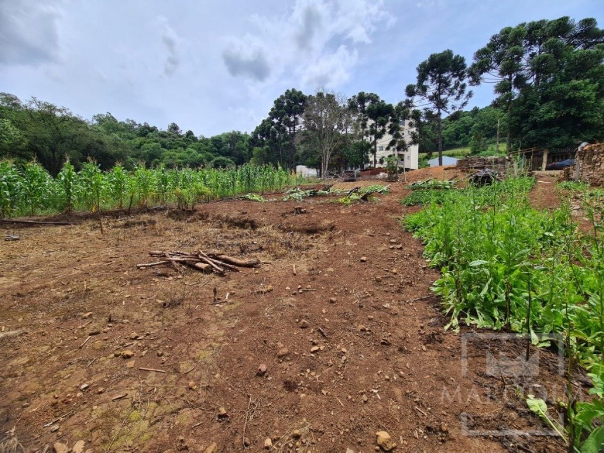 Terreno com 555m², Nao suíte, no bairro Carolo em Marau