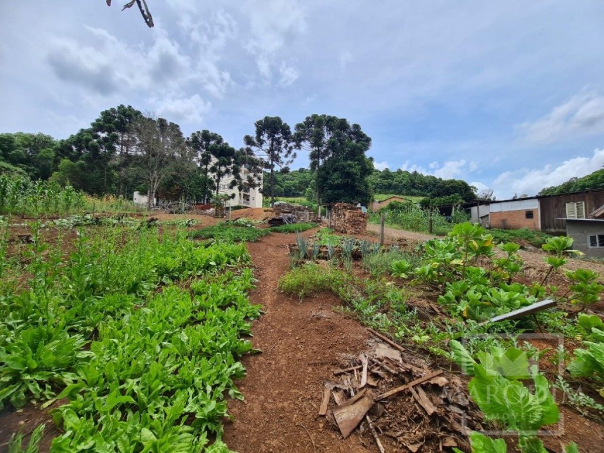 Terreno com 555m², Nao suíte, no bairro Carolo em Marau