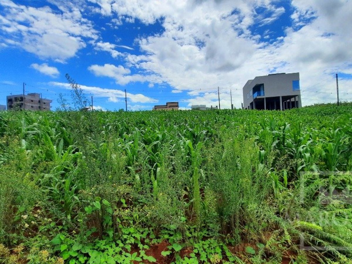 Terreno com 309m², Nao suíte, no bairro Villa Bella em Marau