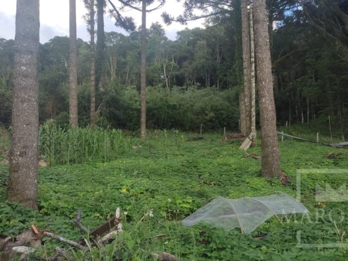 Sítio com 1150m², Nao suíte, no bairro Interior em Marau