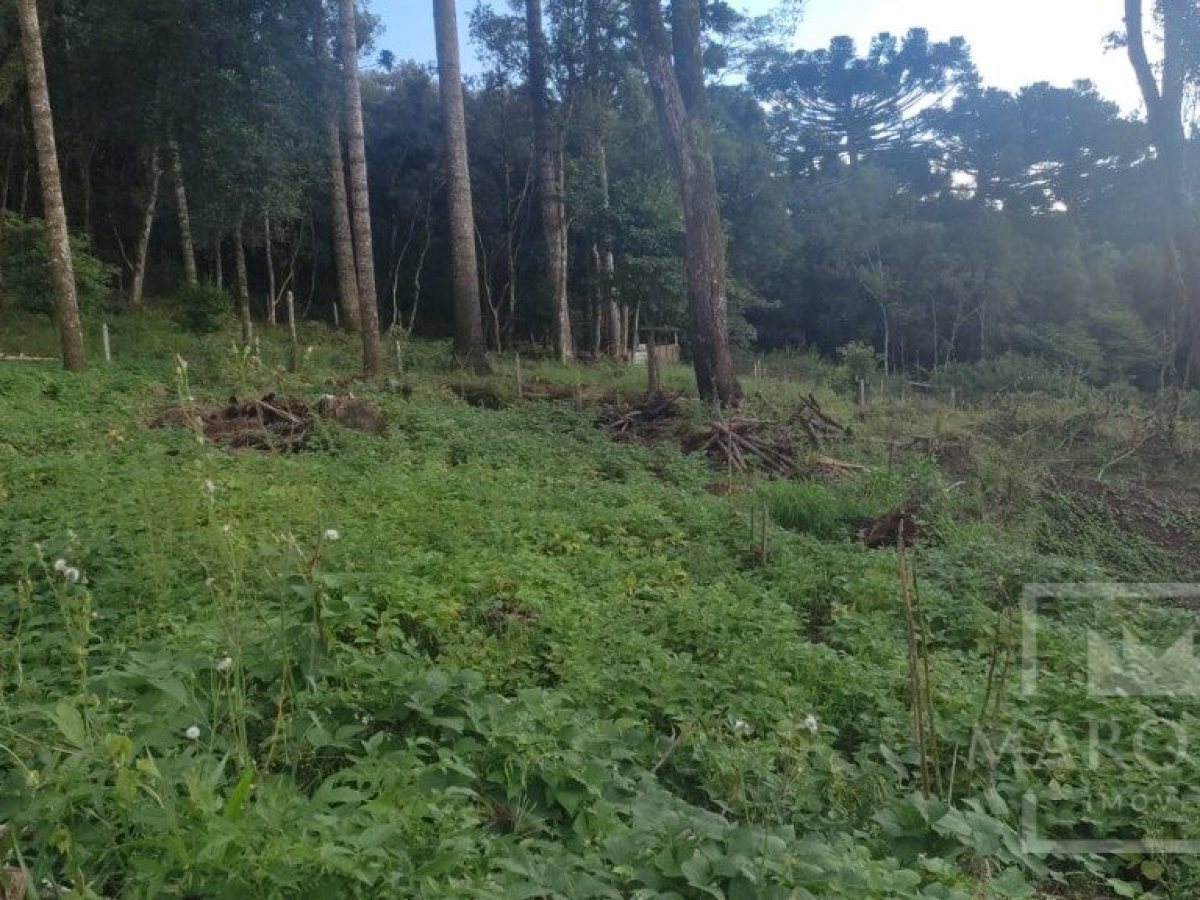 Sítio com 1150m², Nao suíte, no bairro Interior em Marau