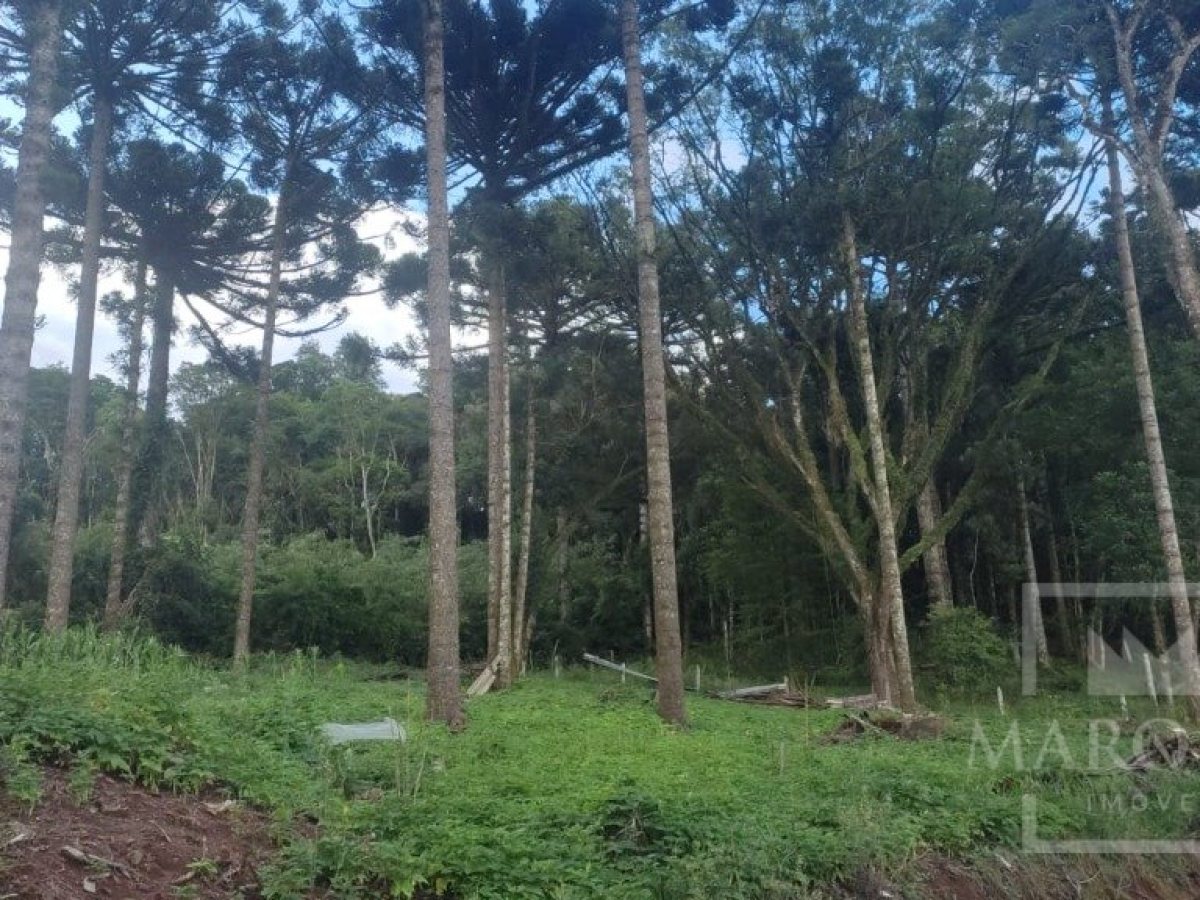 Sítio com 1150m², Nao suíte, no bairro Interior em Marau