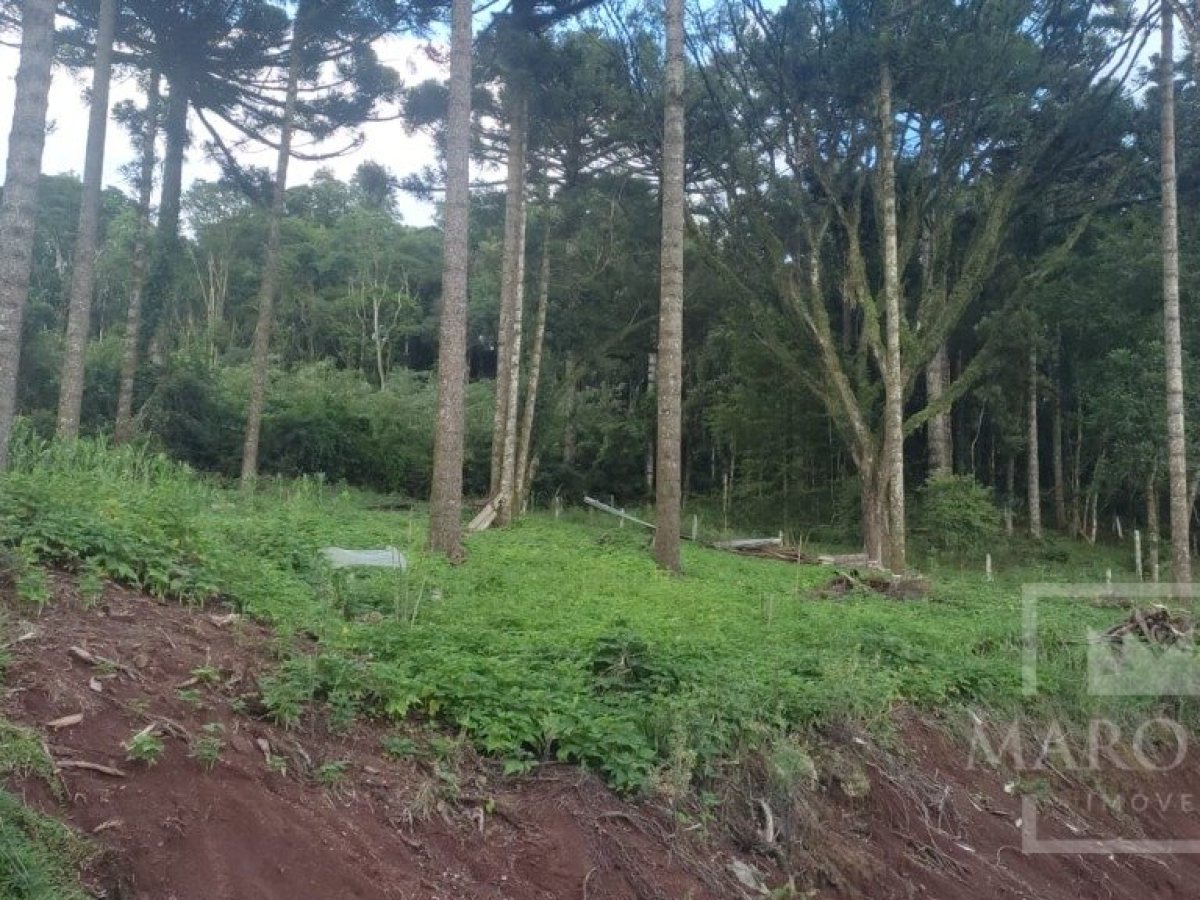 Sítio com 1150m², Nao suíte, no bairro Interior em Marau