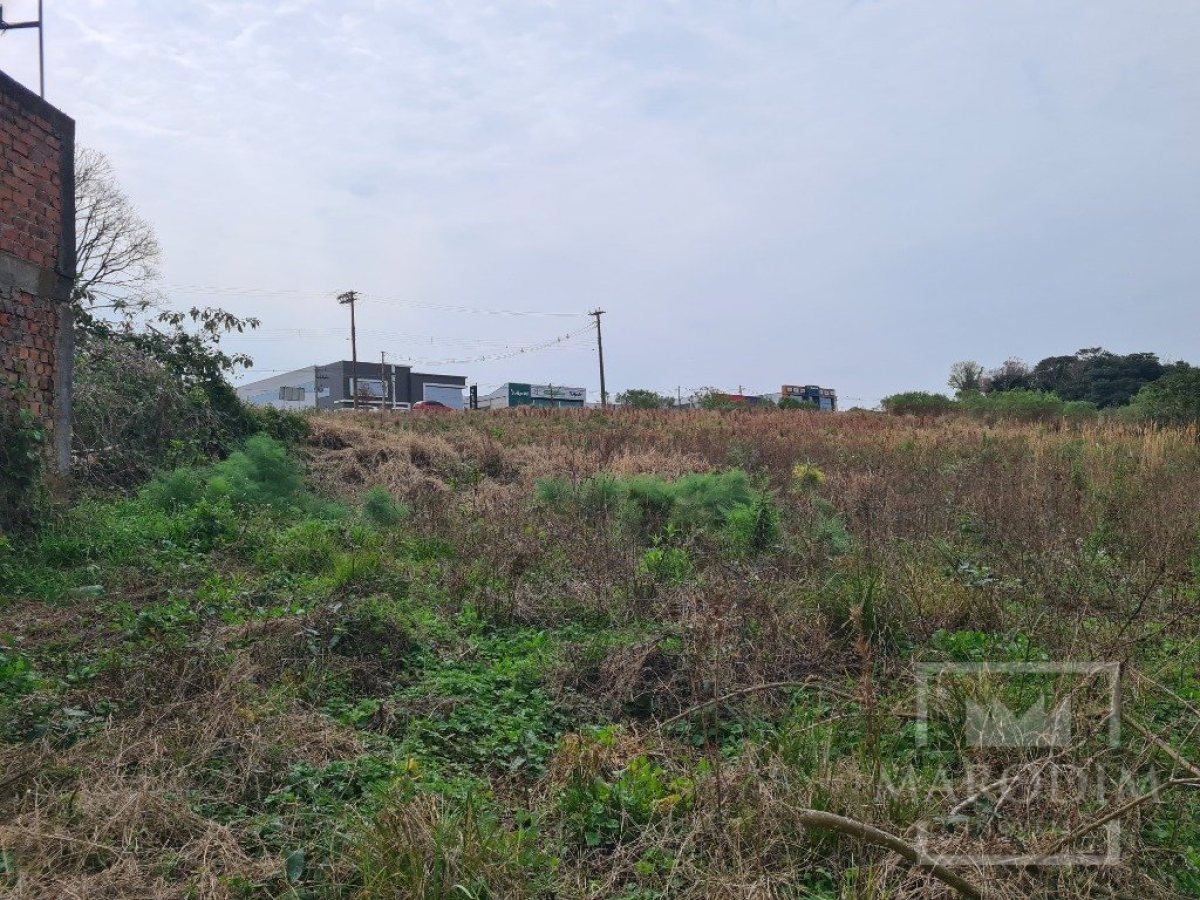Terreno com 2388m², Nao suíte, no bairro Rodovia ERS 324 em Marau