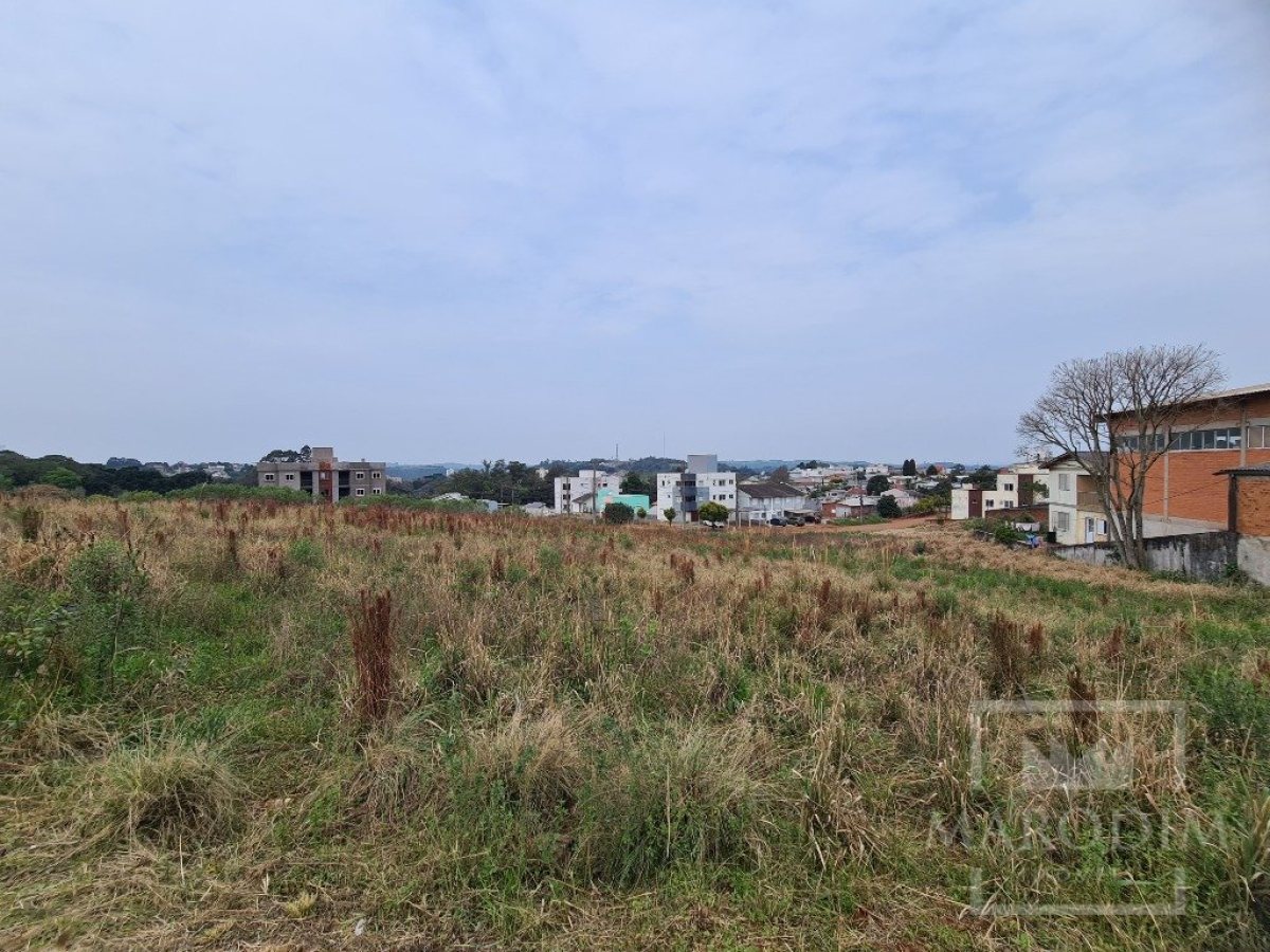 Terreno com 2388m², Nao suíte, no bairro Rodovia ERS 324 em Marau