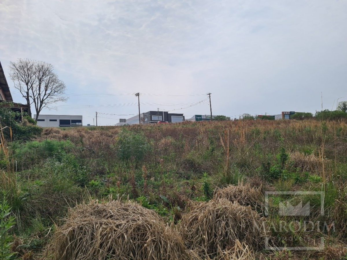 Terreno com 2388m², Nao suíte, no bairro Rodovia ERS 324 em Marau
