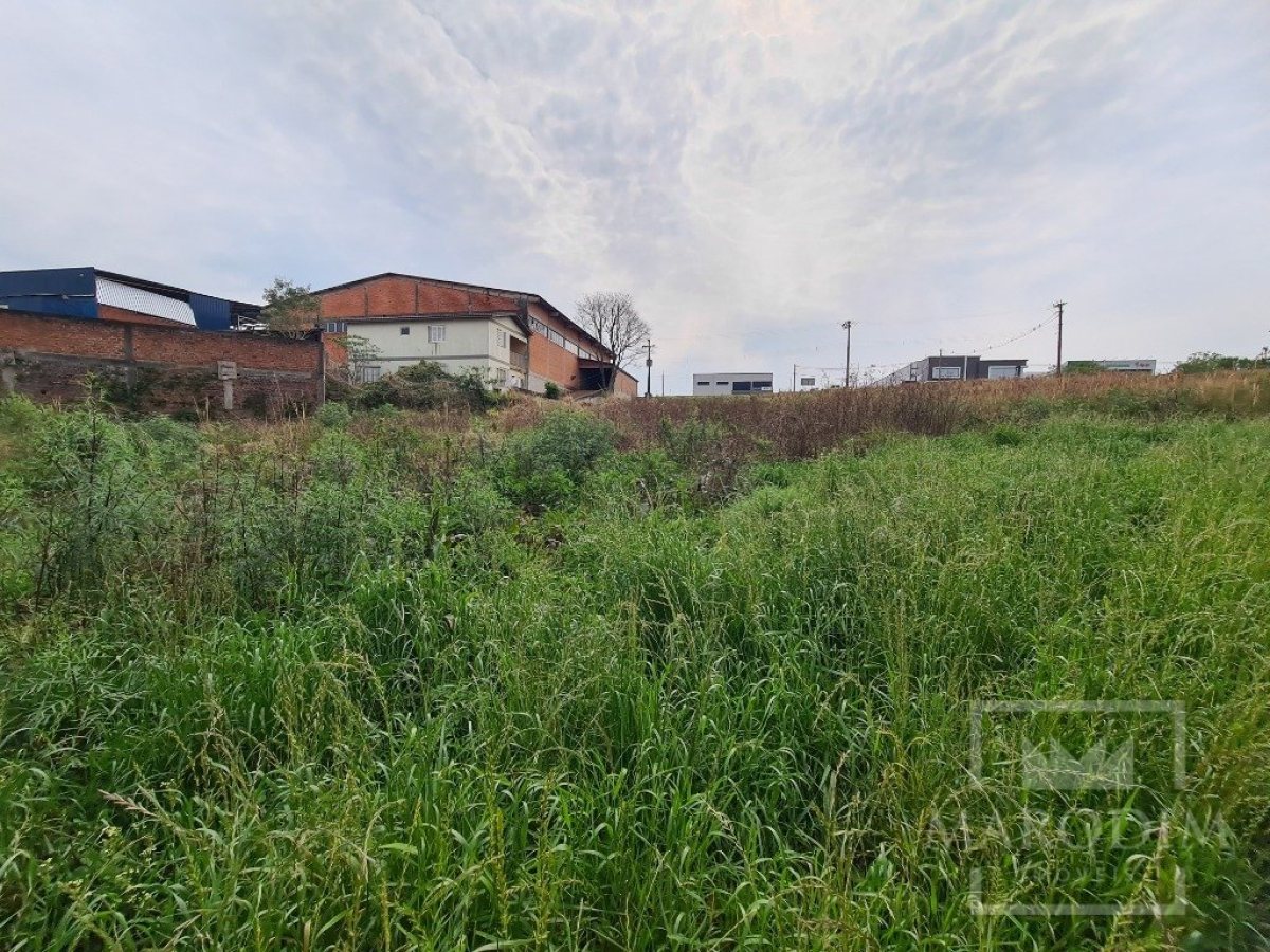 Terreno com 2388m², Nao suíte, no bairro Rodovia ERS 324 em Marau