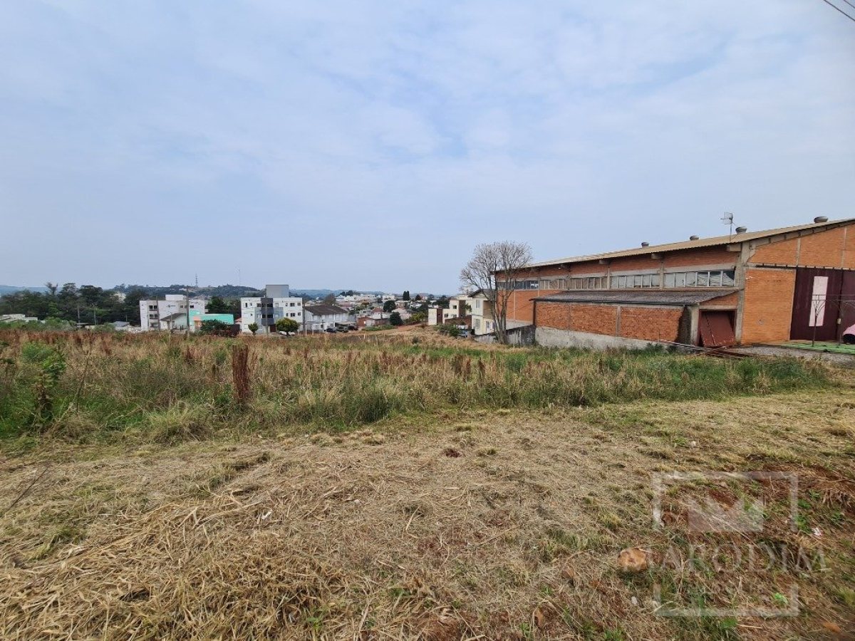 Terreno com 2388m², Nao suíte, no bairro Rodovia ERS 324 em Marau