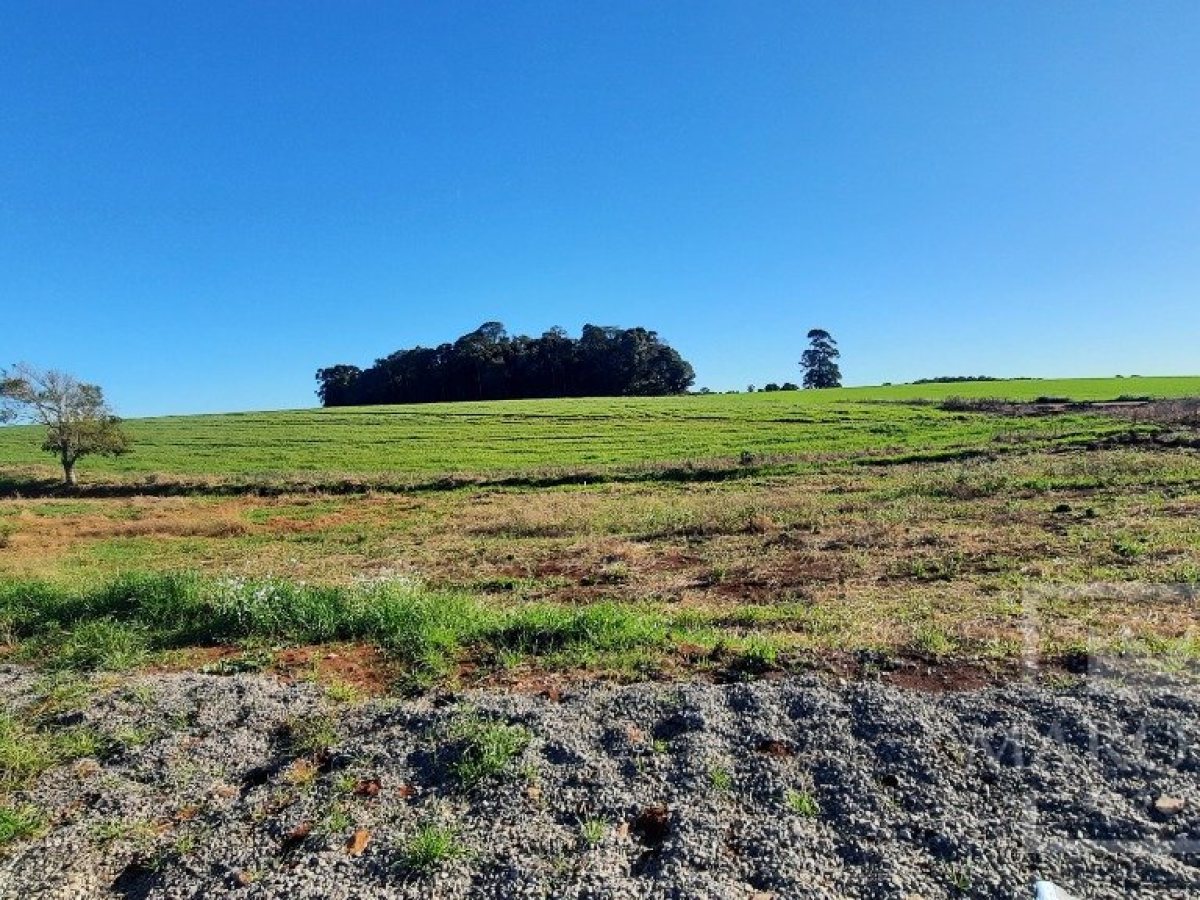 Terreno com 330m², Nao suíte, no bairro Loteamento Residencial Villagio em Marau