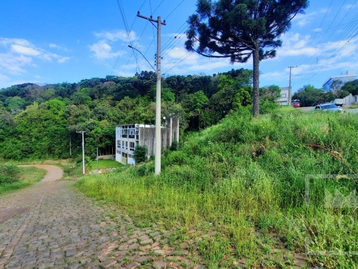 Terreno com 686m², Nao suíte, no bairro Loteamento Scortegagna em Marau