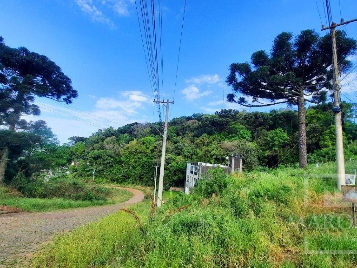 Terreno com 686m², Nao suíte, no bairro Loteamento Scortegagna em Marau
