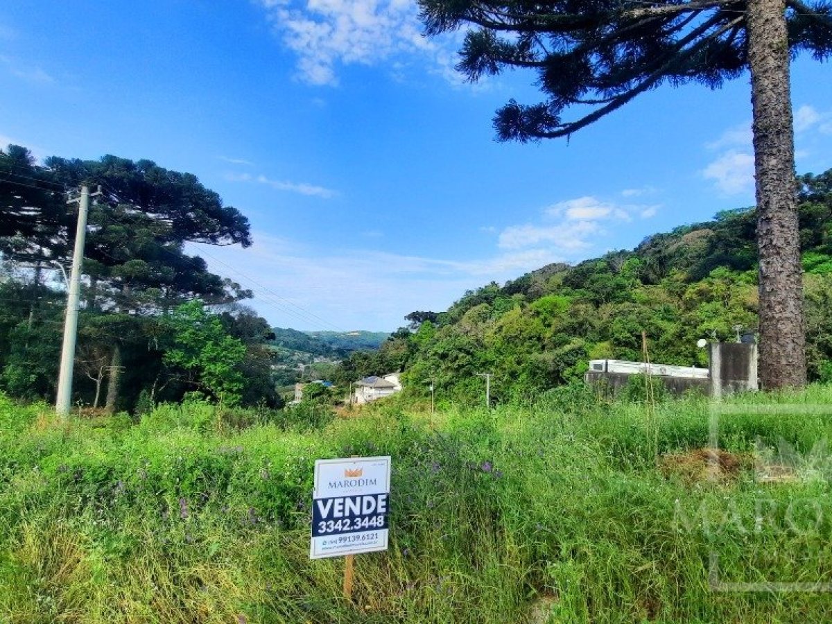 Terreno com 686m², Nao suíte, no bairro Loteamento Scortegagna em Marau