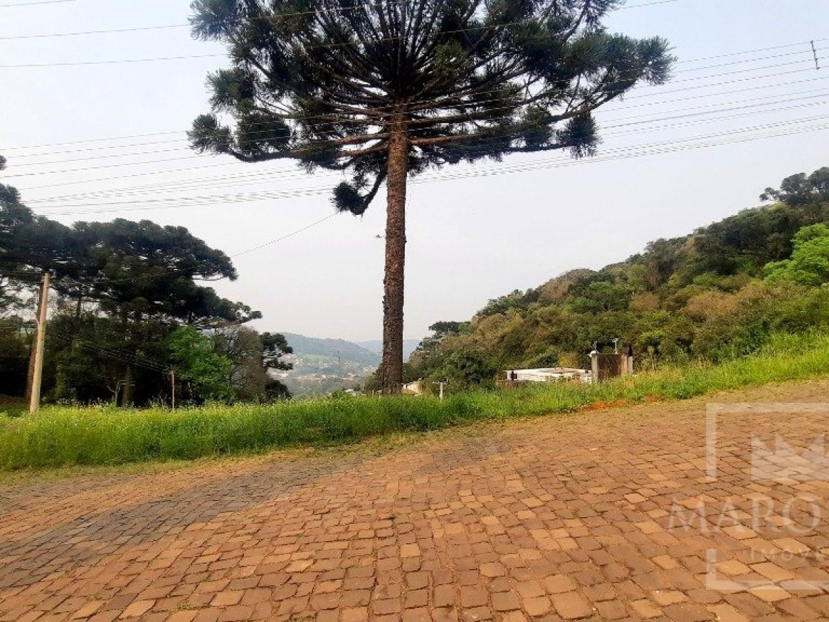 Terreno com 686m², Nao suíte, no bairro Loteamento Scortegagna em Marau