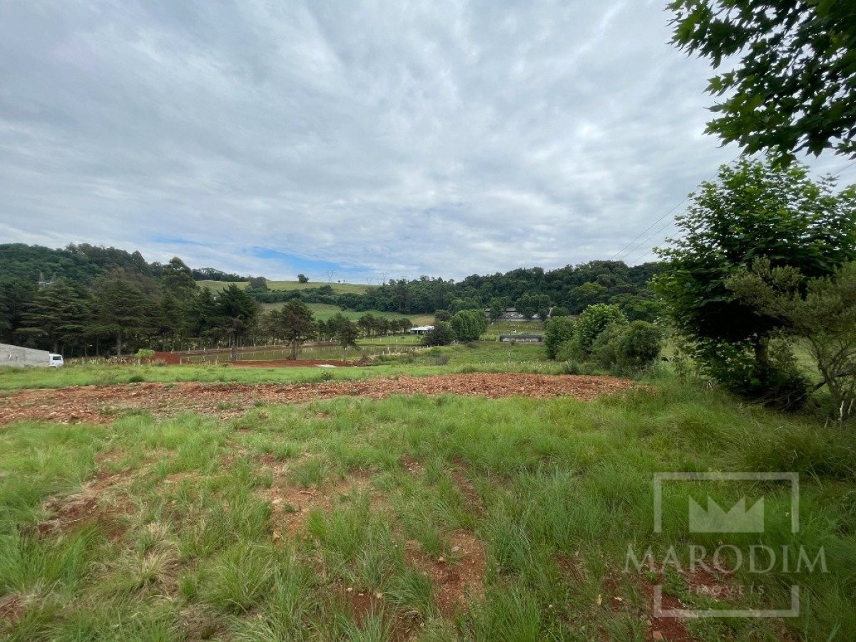 Terreno com 11395m², Nao suíte, no bairro Interior em Marau