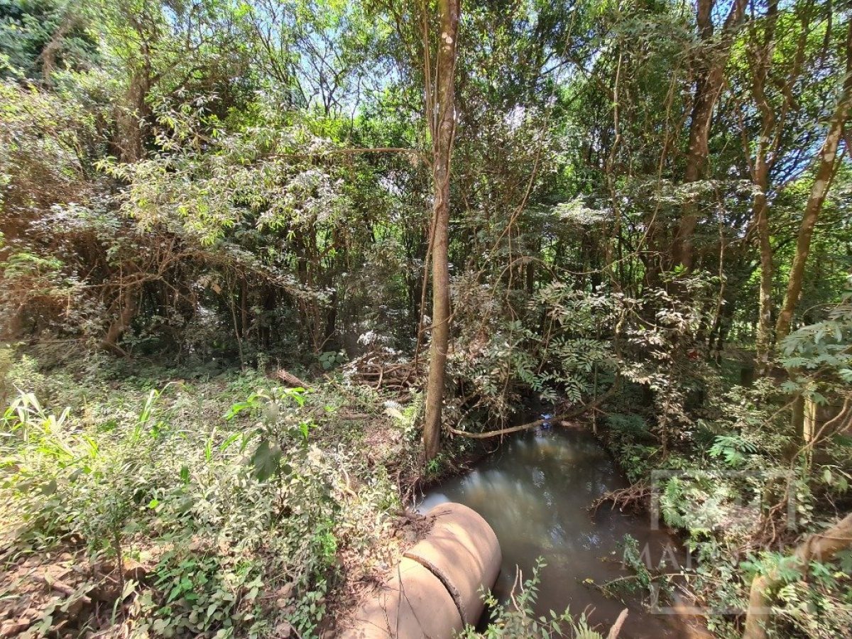 Área com 4000m², Nao suíte, no bairro Interior em Marau