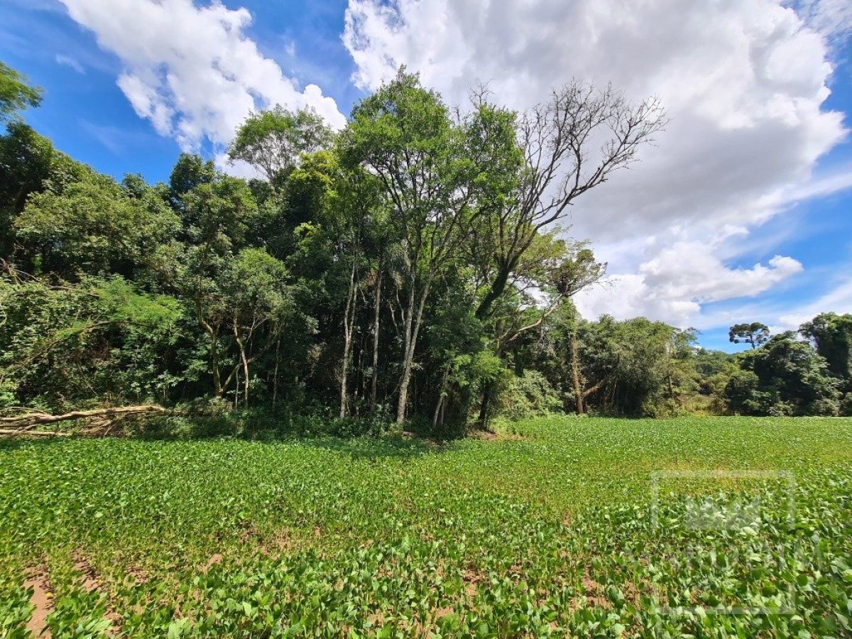 Área com 4000m², Nao suíte, no bairro Interior em Marau