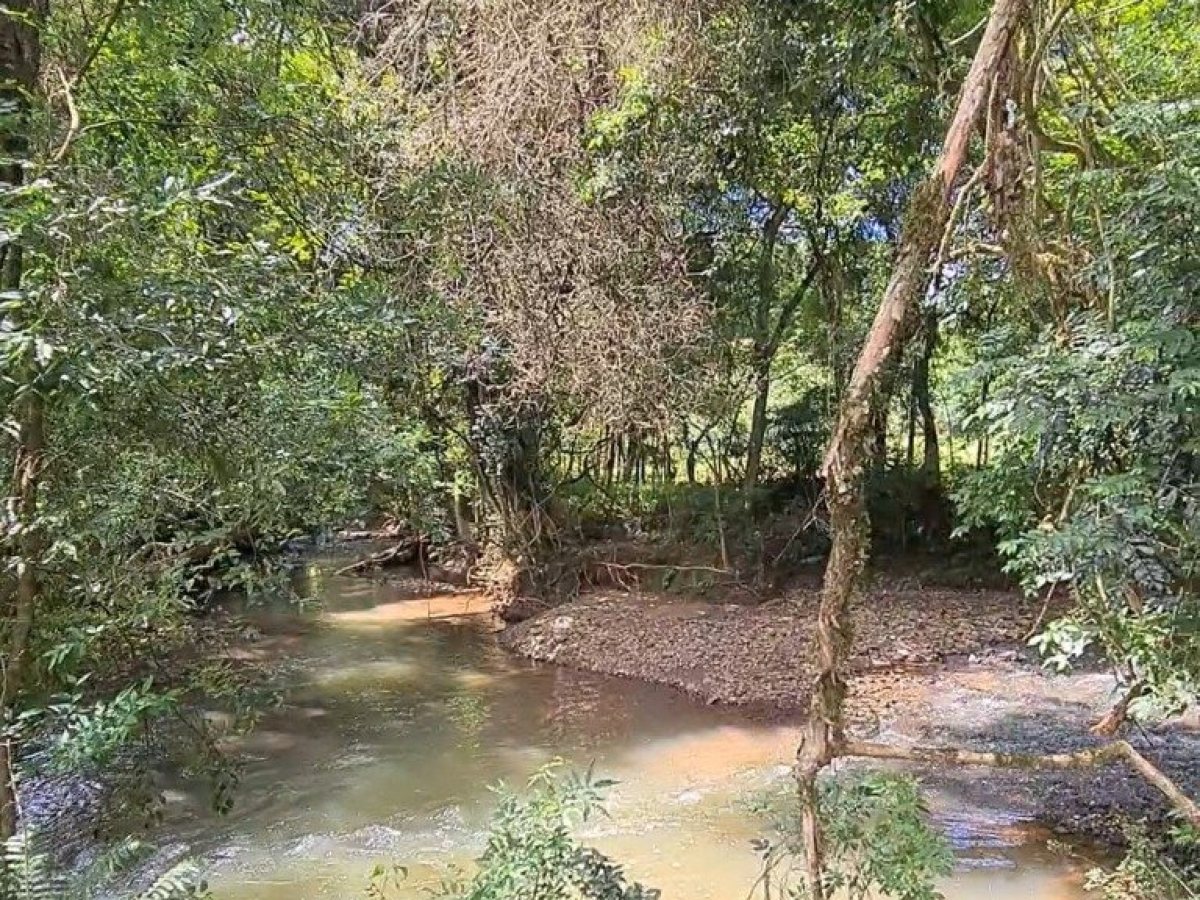 Área com 4000m², Nao suíte, no bairro Interior em Marau